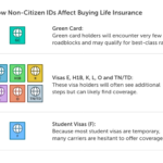 1x Desktop Non US Citizen Life Insurance Requirements E28093 4