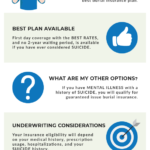 Funeral Insurance Final Expense Insurance Burial Insurance And Suicide Infographics