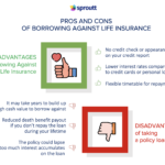 Pros and Cons of Borrowing Against Life Insurance Infographic