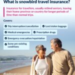 Travel Insurance Blog Design1 a