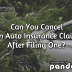 cancel auto insurance claim